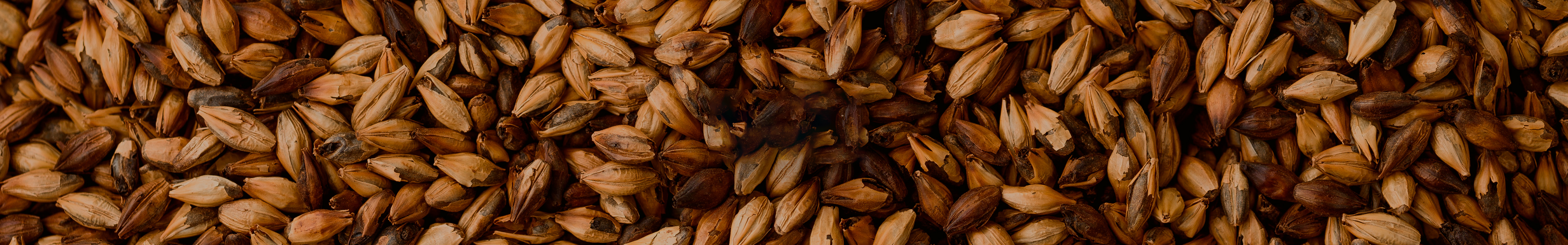 Malt Grains