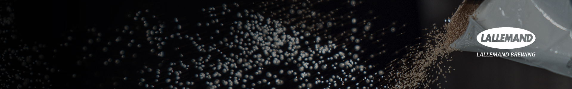 Lallemand Dried