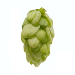 Fuggle Hop Cones - 250 g