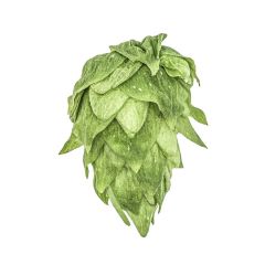 T90 Krush® Hop Pellets - 30 g