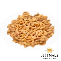 Best Beechwood Smoked Malt - 25 kg