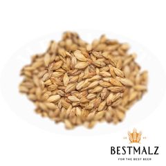 Best Caramel® Aromatic Malt - 25 kg