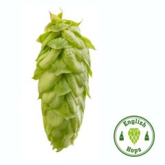 T90 Challenger Hop Pellets - 1 kg