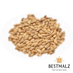 Best Chit Malt - 1 kg