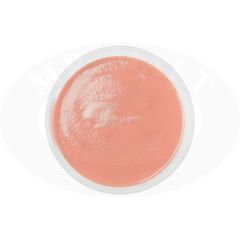 Guava Puree - 20 kg