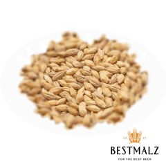 Best Heidelberg Pilsen Malt - 5 kg