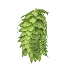 T90 HBC 638 Hop Pellets - 1 kg