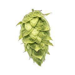 T90 Ahtanum® Hop Pellets - 100 g