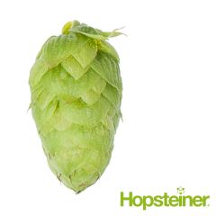 T90 Ariana Hop Pellets - 100 g