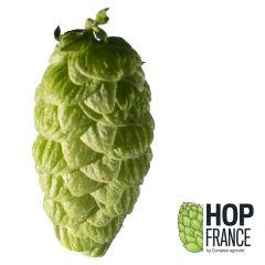 T90 Barbe Rouge Hop Pellets - 100 g