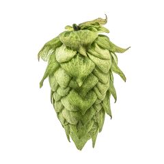 T90 Centennial Hop Pellets - 100 g	