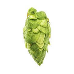 T90 Citra® Hop Pellets - 100 g
