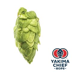 Yakima Chief Hops® Citra® Hop Cones - 5 kg