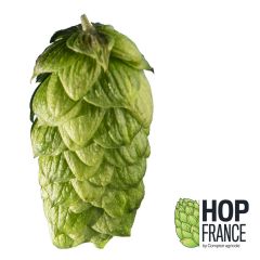 T90 Elixir Hop Pellets - 5 kg