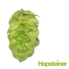 T90 Eureka!™ Hop Pellets - 100 g	