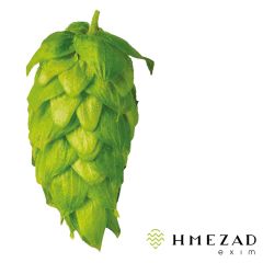 T90 Extra Styrian Dana Hop Pellets - 100 g