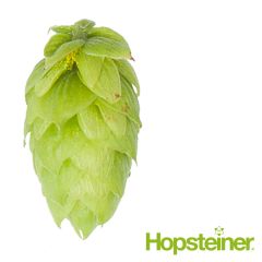 T90 Tradition (Hallertau) Hop Pellets - 5 kg