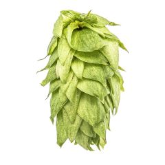 T90 Palisade® Hop Pellets - 1 kg