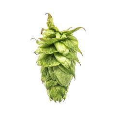 T90 Summit™ Hop Pellets - 5 kg