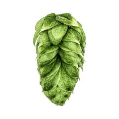 Yakima Chief Hops® Cryo Hops® pellets Talus® - 50 g