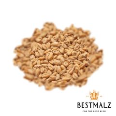 Best Heidelberg Wheat Malt - 25 kg