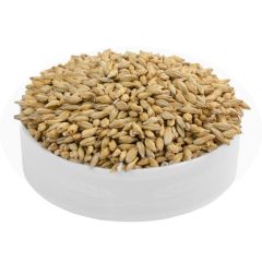 Italmalt Pilsen Malt - 5 kg