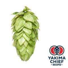 Yakima Chief Hops® Cryo Hops® pellets Motueka™ - 5 kg
