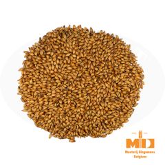 Dingemans Cara 300 (Special B®) Malt - 5 kg