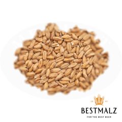 Best Spelt Malt (Dinkel) - 25 kg
