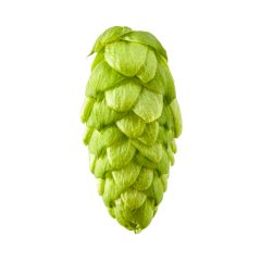 T90 Strata Hop Pellets - 1 kg