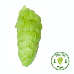 Target Hop Cones - 5 kg