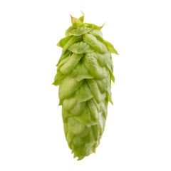 Challenger Hop Cones - 5 kg