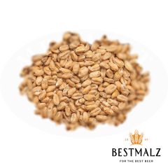 Best Organic Wheat Malt - 25 kg