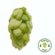 Fuggle Hop Cones - 5 kg