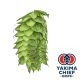 Yakima Chief Hops® T90 HBC 638 Hop Pellets - 5 kg