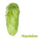 T90 Callista Hop Pellets - 250 g
