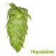 T90 Calypso™ Hop Pellets - 100 g