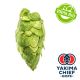 Yakima Chief Hops® T90 Citra® Organic Hop Pellets - 5 kg