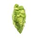 Cryo Hops® pellets Citra® - 50 g