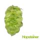 T90 Eureka!™ Hop Pellets - 5 kg	