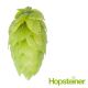 T90 Tradition Hop Pellets - 250 g