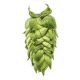 T90 Idaho 7® Hop Pellets - 250 g