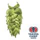 Yakima Chief Hops® T90 Idaho 7® Hop Pellets - 5 kg