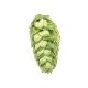 Cryo Hops® pellets Loral® - 1 kg