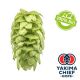 Yakima Chief Hops® T90 Mosaic® Organic Hop Pellets - 5 kg