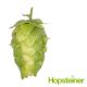 Northern Brewer Hop Cones - 100 g