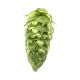 Cryo Hops® pellets Simcoe® - 1 kg