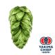Yakima Chief Hops® Cryo Hops® pellets Talus® - 5 kg
