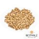 Best Red X® Malt - 1 kg