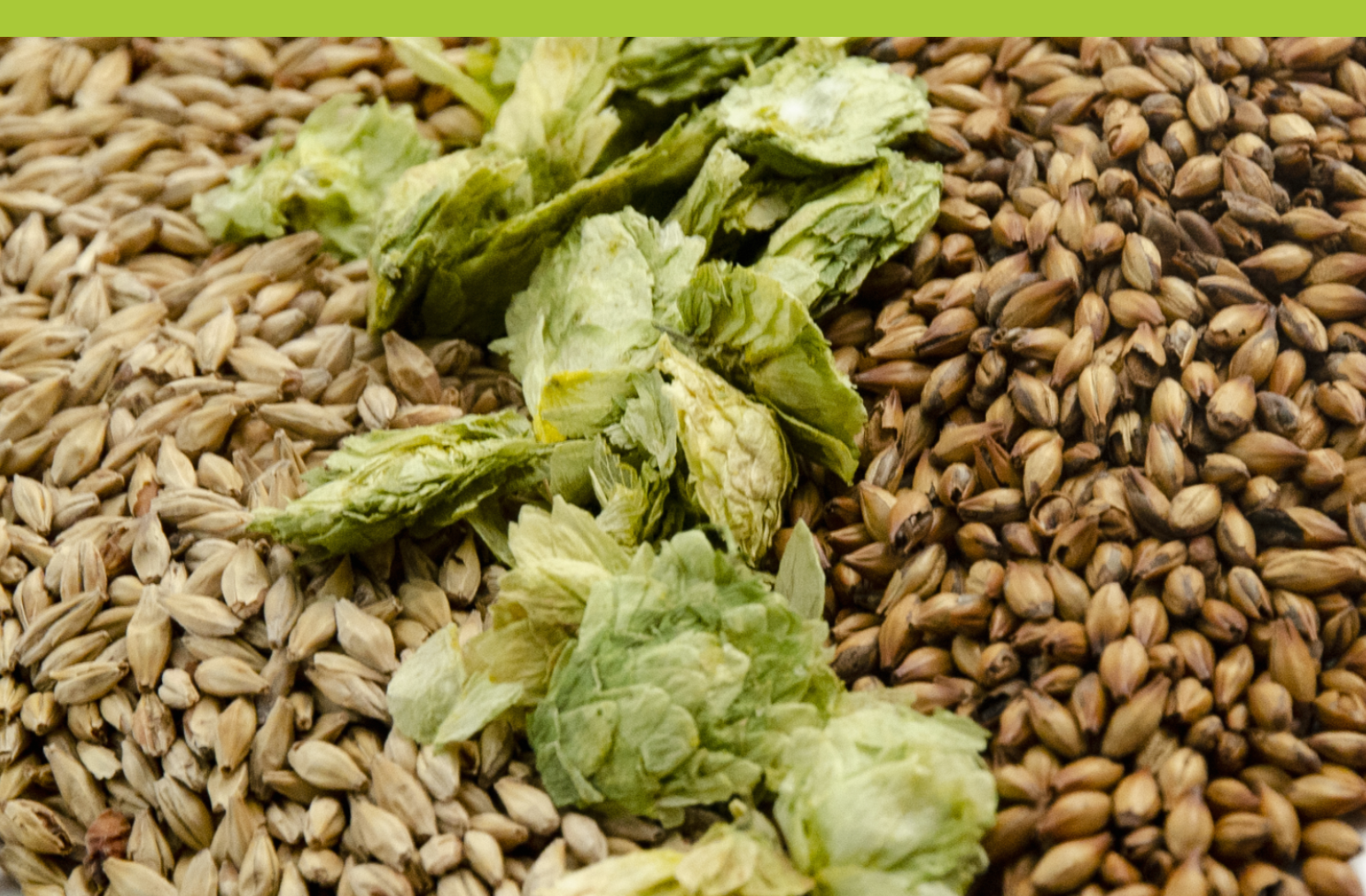 certificazione biologica